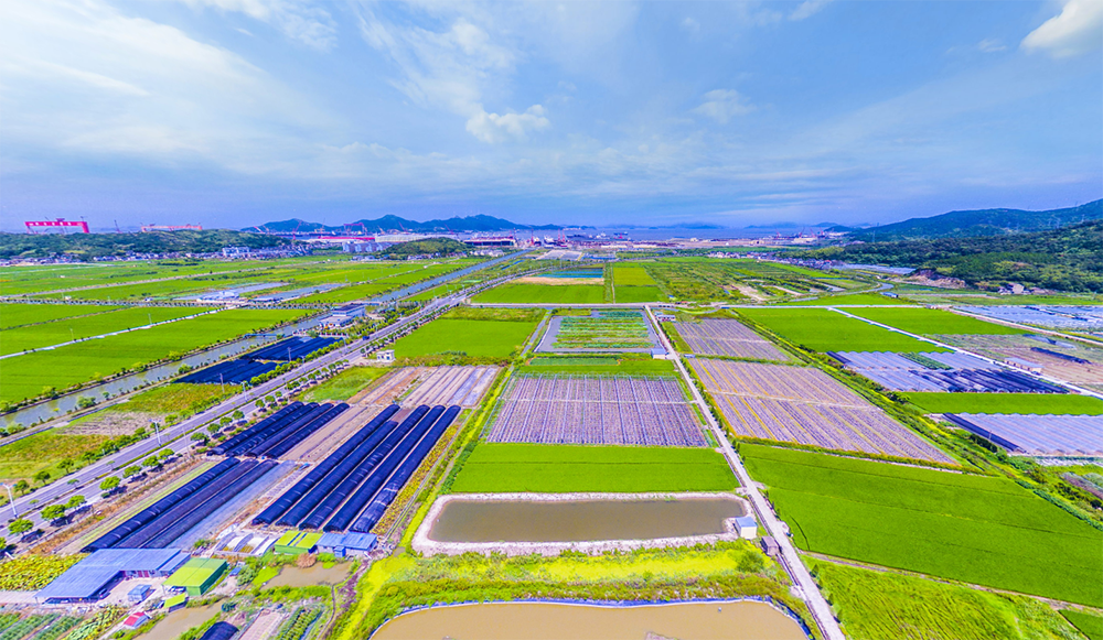 舟山定海小沙街道-vr全景城市