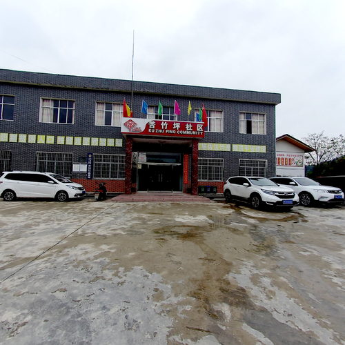 苦竹坪社区全景