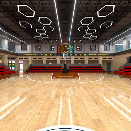 华中师范大学附属清丰高级中学篮球馆改造全景效果