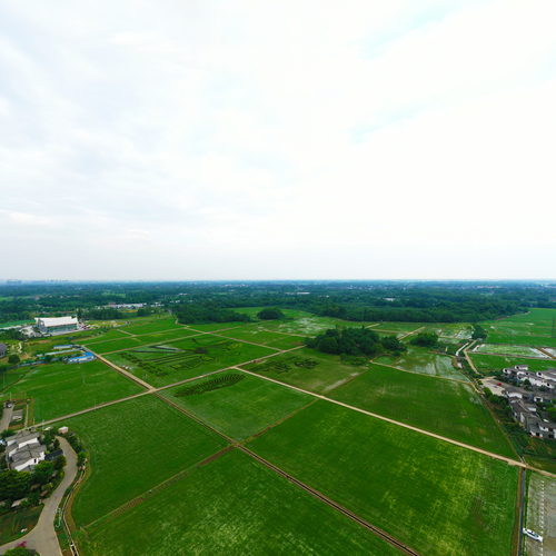 五星村.民宿