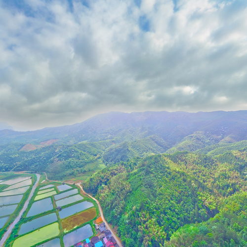 高唐镇楼杉村全景