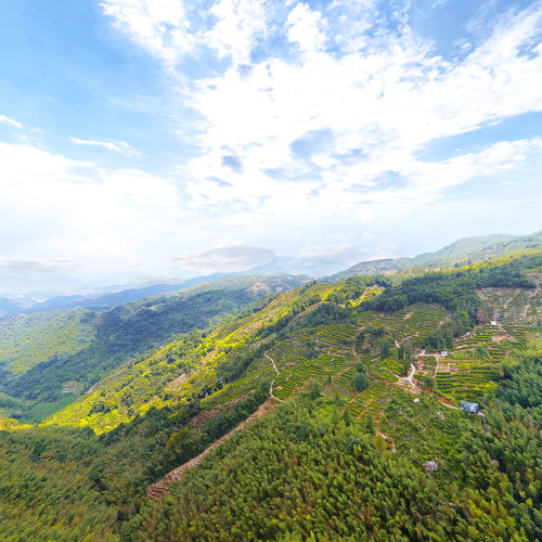 潮州叫水坑原始森林