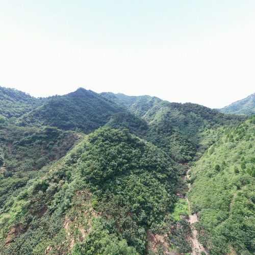 河北迁西抽水蓄能电站2025年6-11月航拍