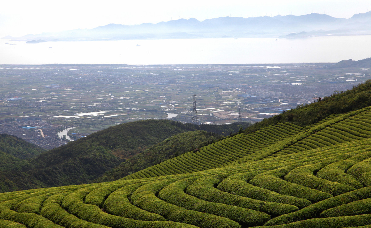 寧波東錢湖福泉山景區收藏