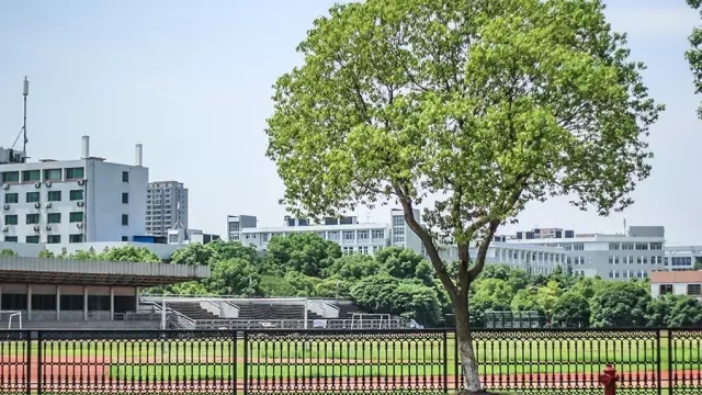 浙江大學城市學院