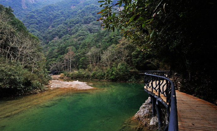 浙江龙湾潭国家森林公园