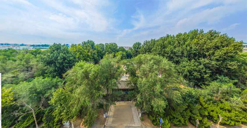 大连营城子汉墓群