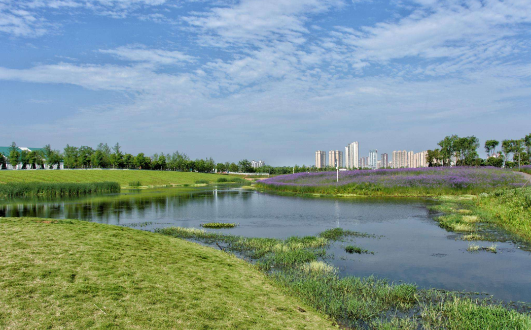 長沙洋湖溼地公園