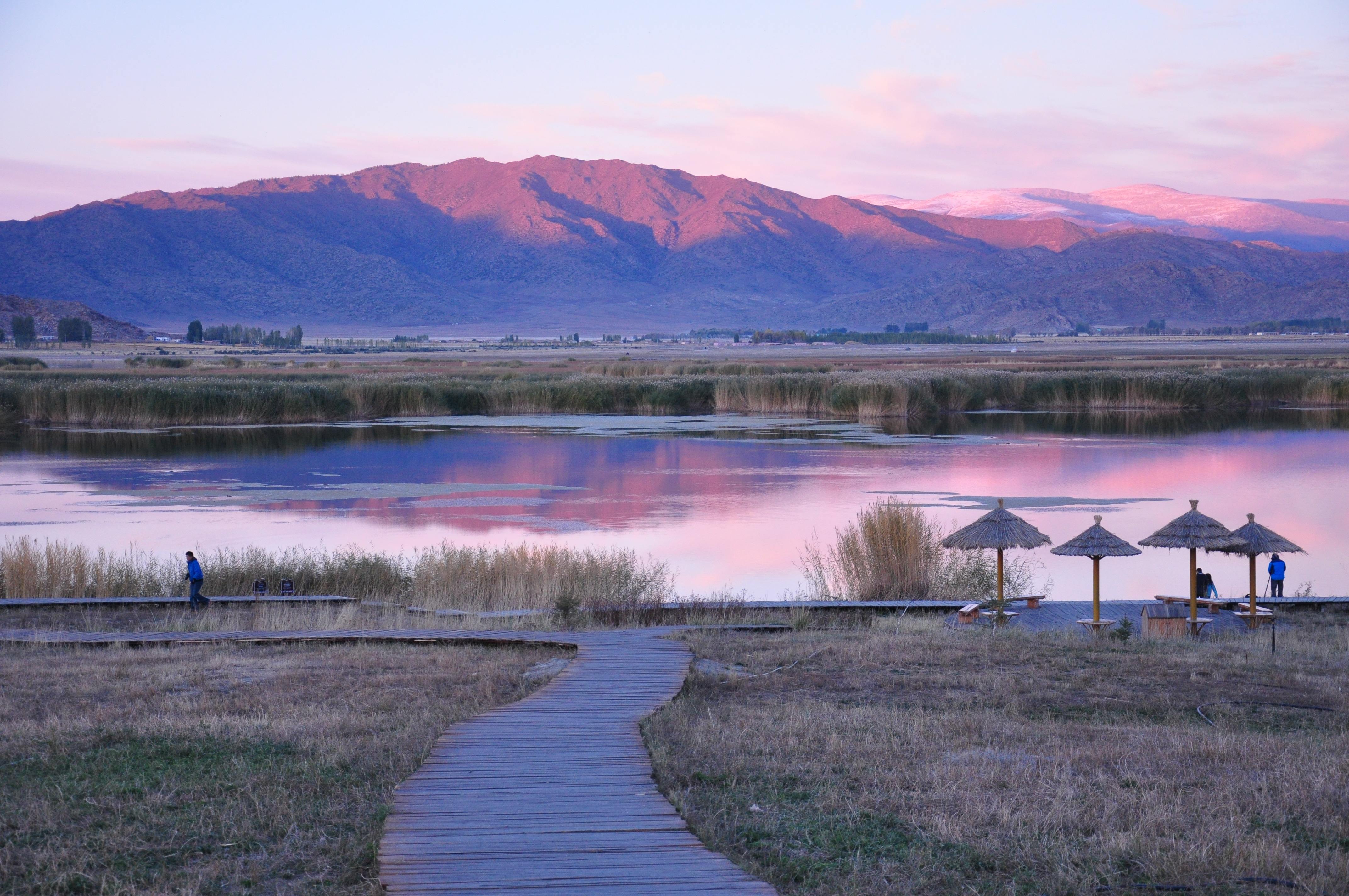 新疆可可苏里景区
