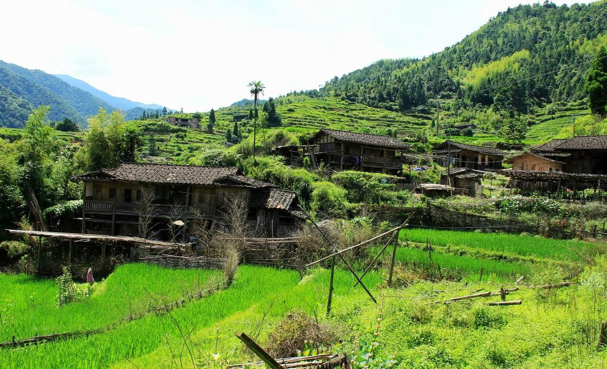 福建德化县双芹村