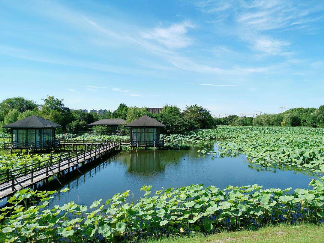 的全景紹興鏡湖溼地公園越月28330是浙江省首個國家級城市溼地公園