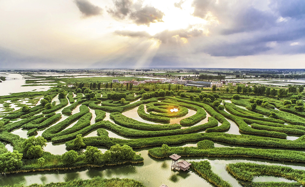 鹽城大縱湖-vr全景城市